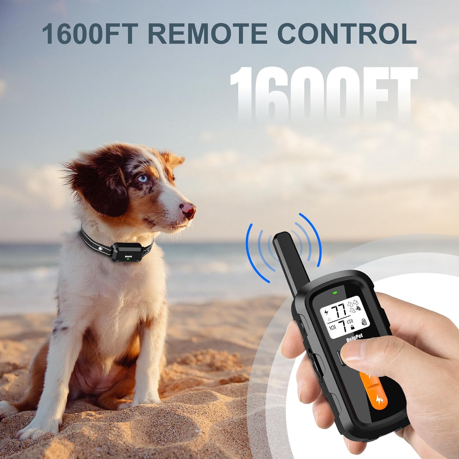 Electric Dog Training Collar with Remote