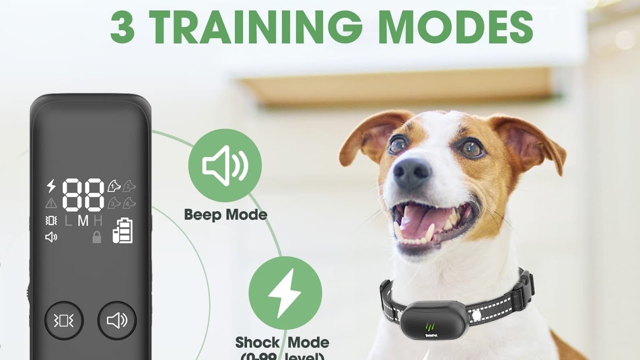 Electric Dog Training Collar